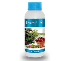 Adama Shamir