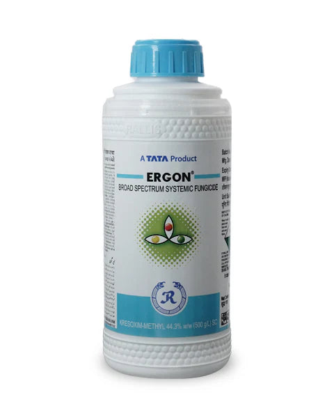 Tata Ergon