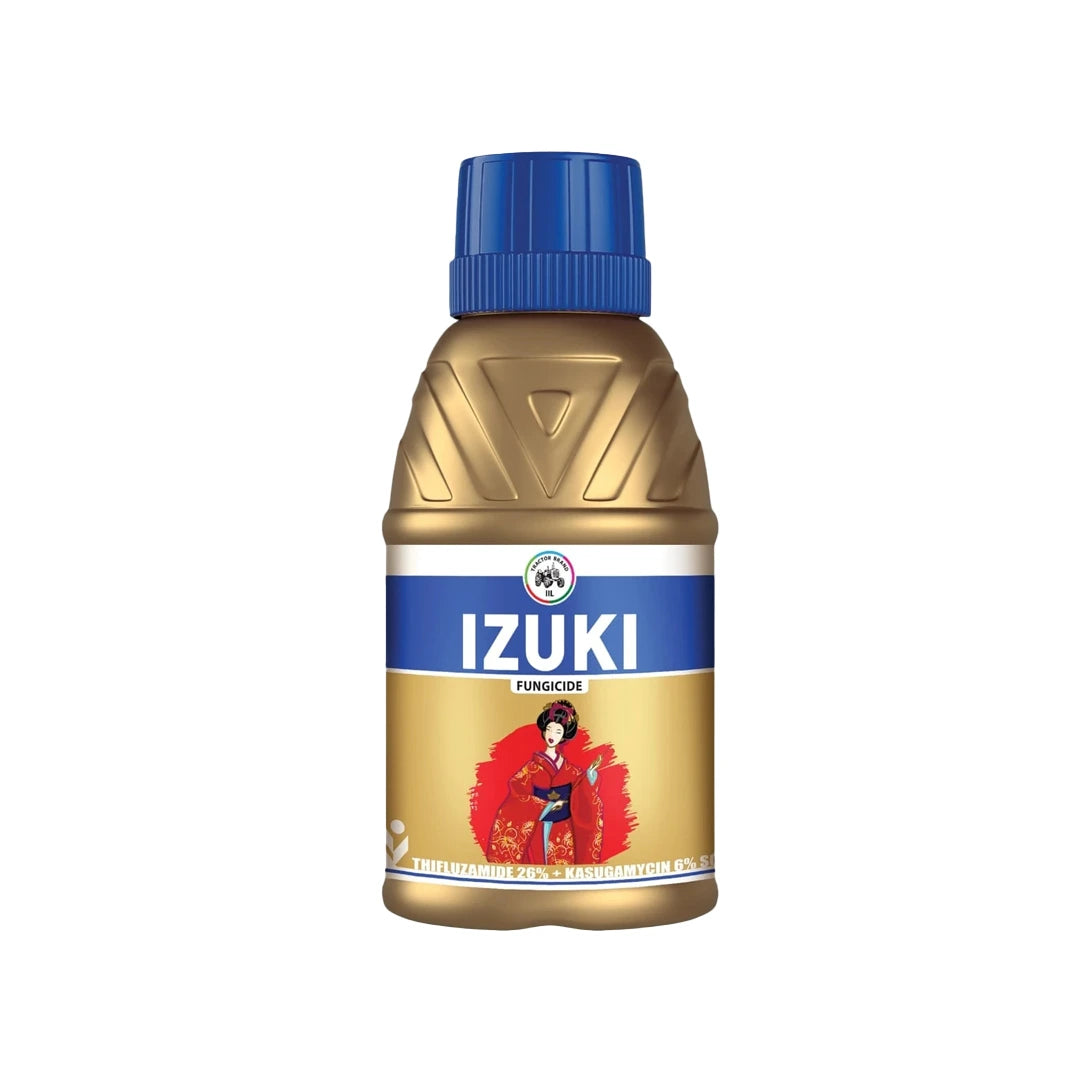 IIL Izuki