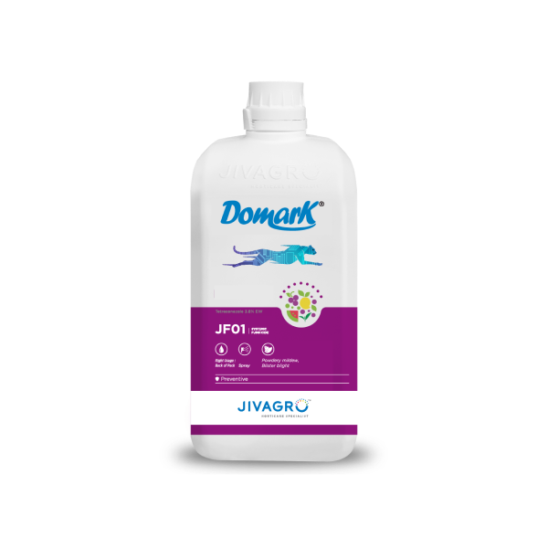 Jivagro Domark