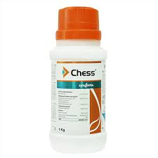 Syngenta Chess