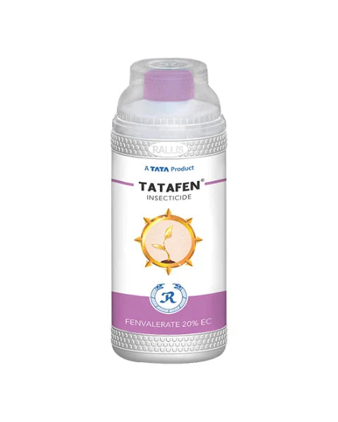 Tata fen