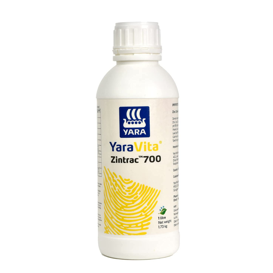 Yara Zintrac