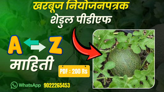 भाजीपाला लागवडिपूर्वी जमिनीची मशागत कशी करावी ?