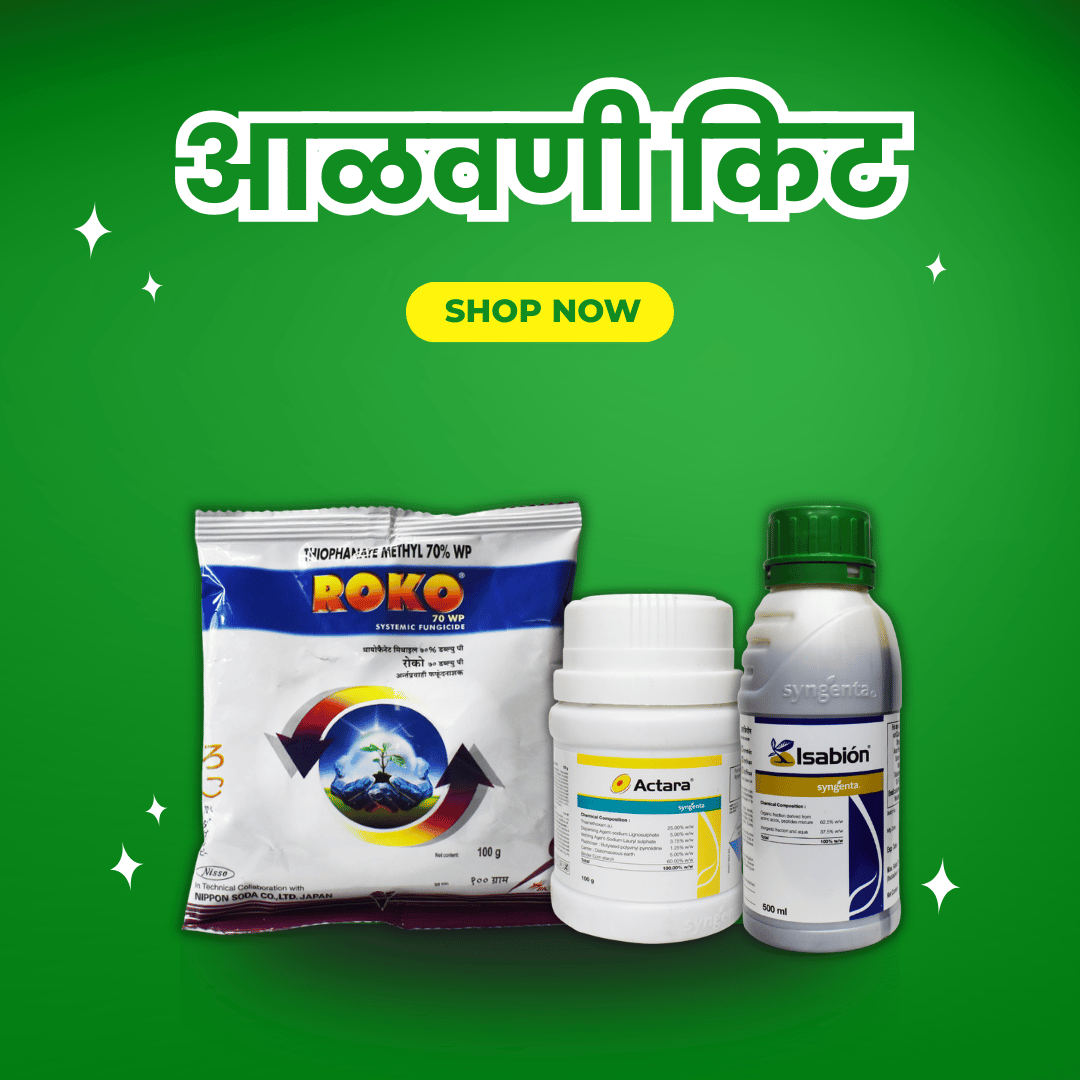 आळवणी किट