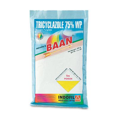 Indofil Dhan