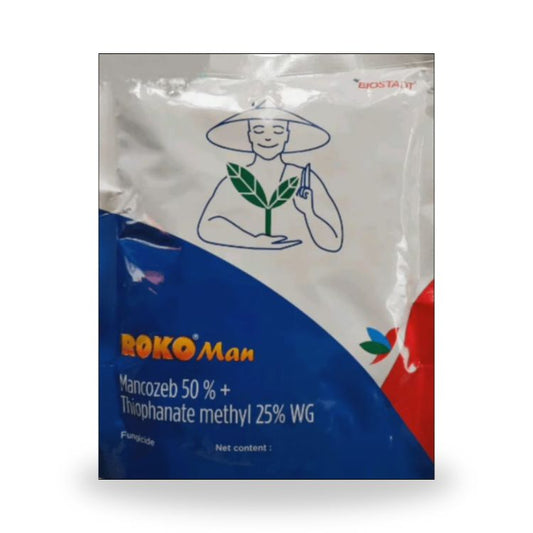 Biostadt Rokoman