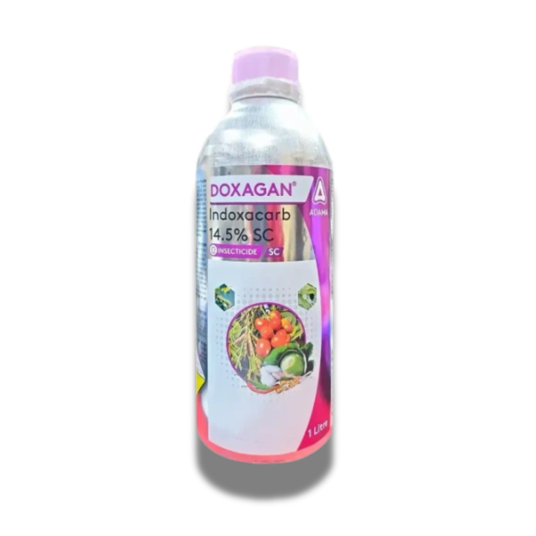 Adama Doxagan