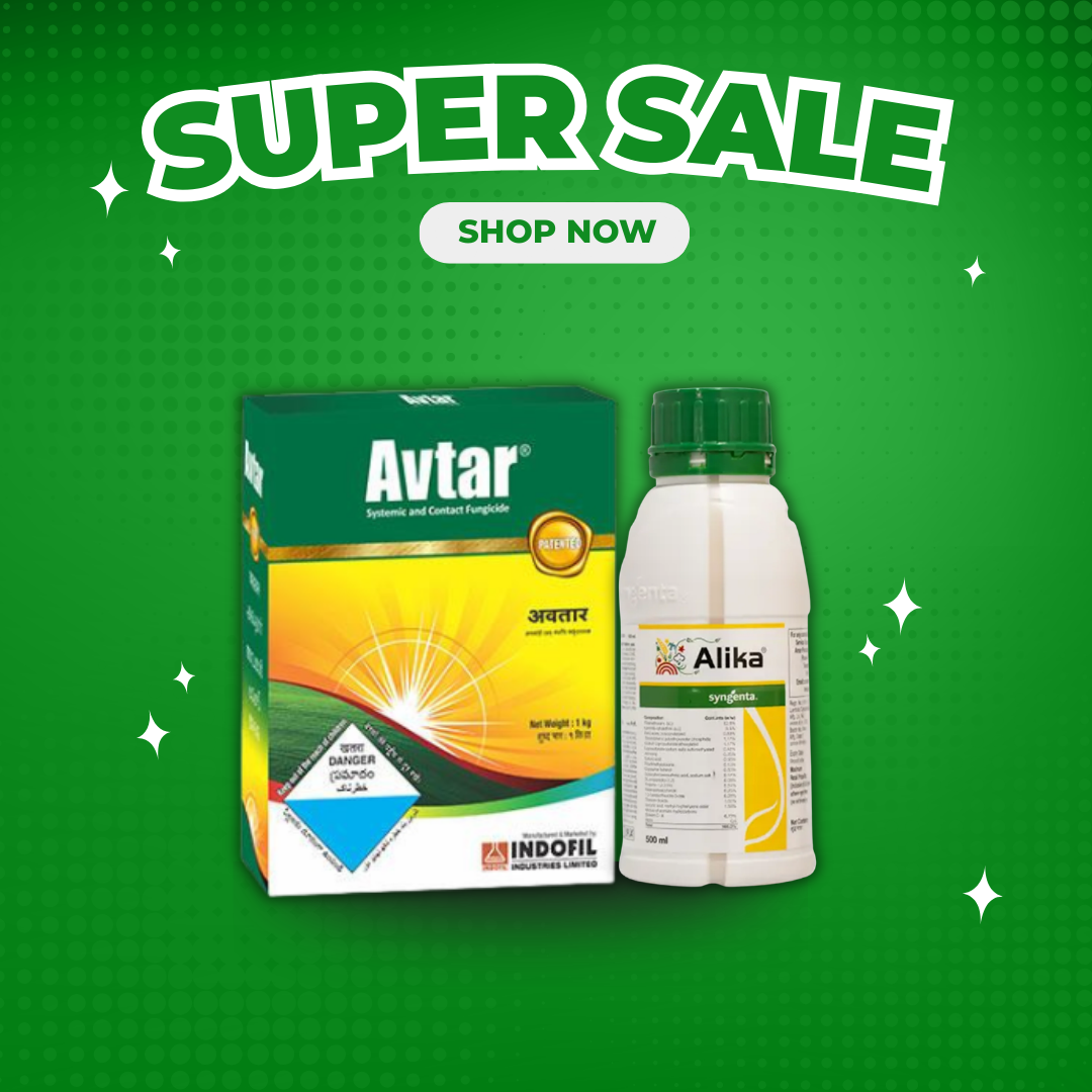 Avtar + Alika Spray Kit