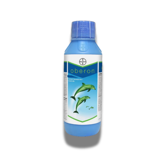 Bayer Oberon