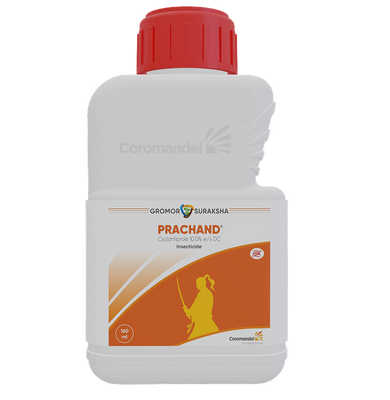 Coromandel Prachand