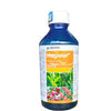 Corteva Magister