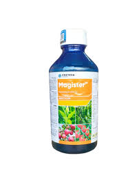 Corteva Magister