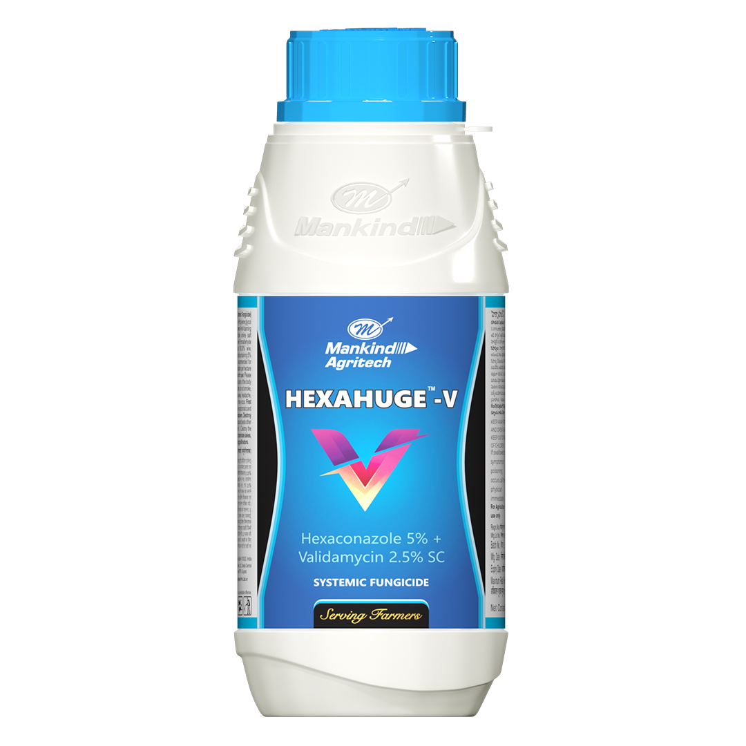 Mankind HEXAHUGE-V