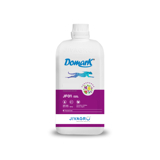 Jivagro Domark
