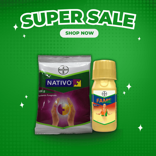 Nativo + Fame Spray Kit