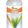 SWAL Viola