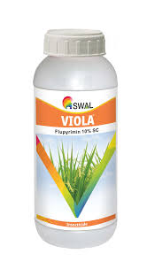 SWAL Viola