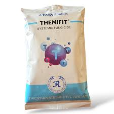 Tata Themfit