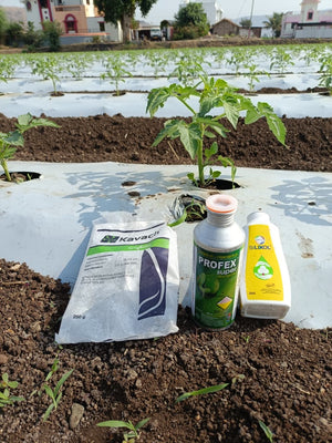 Kavach + Profex Super + Privi Silixol Spray Kit