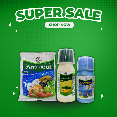 Antracol + Buonos Spray Kit