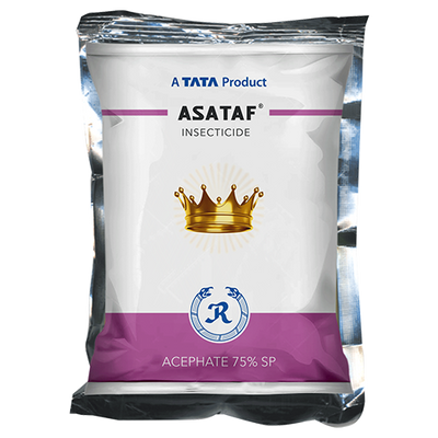 Tata Asataf