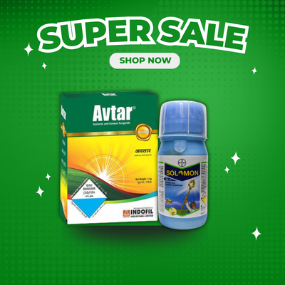 Avtar + Solomon Spray Kit