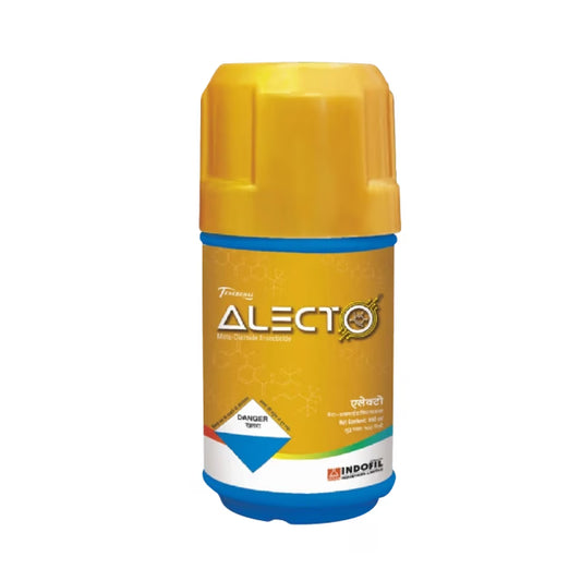 Indofil Alecto
