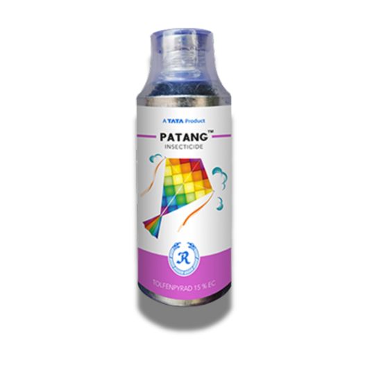 Tata Patang