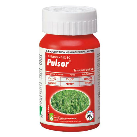 IIL Pulsor