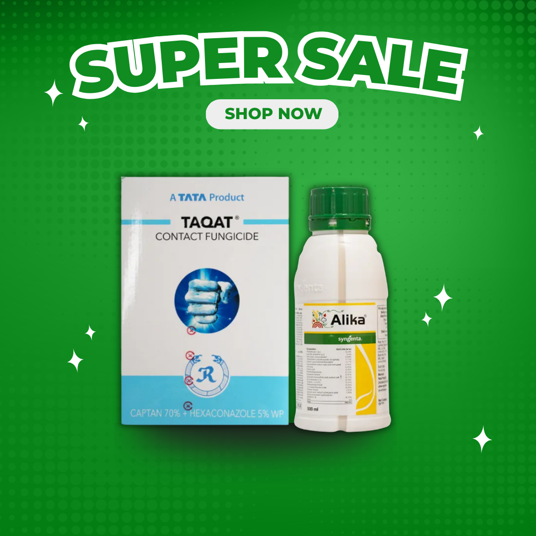 Taqat + Alika Spray Kit