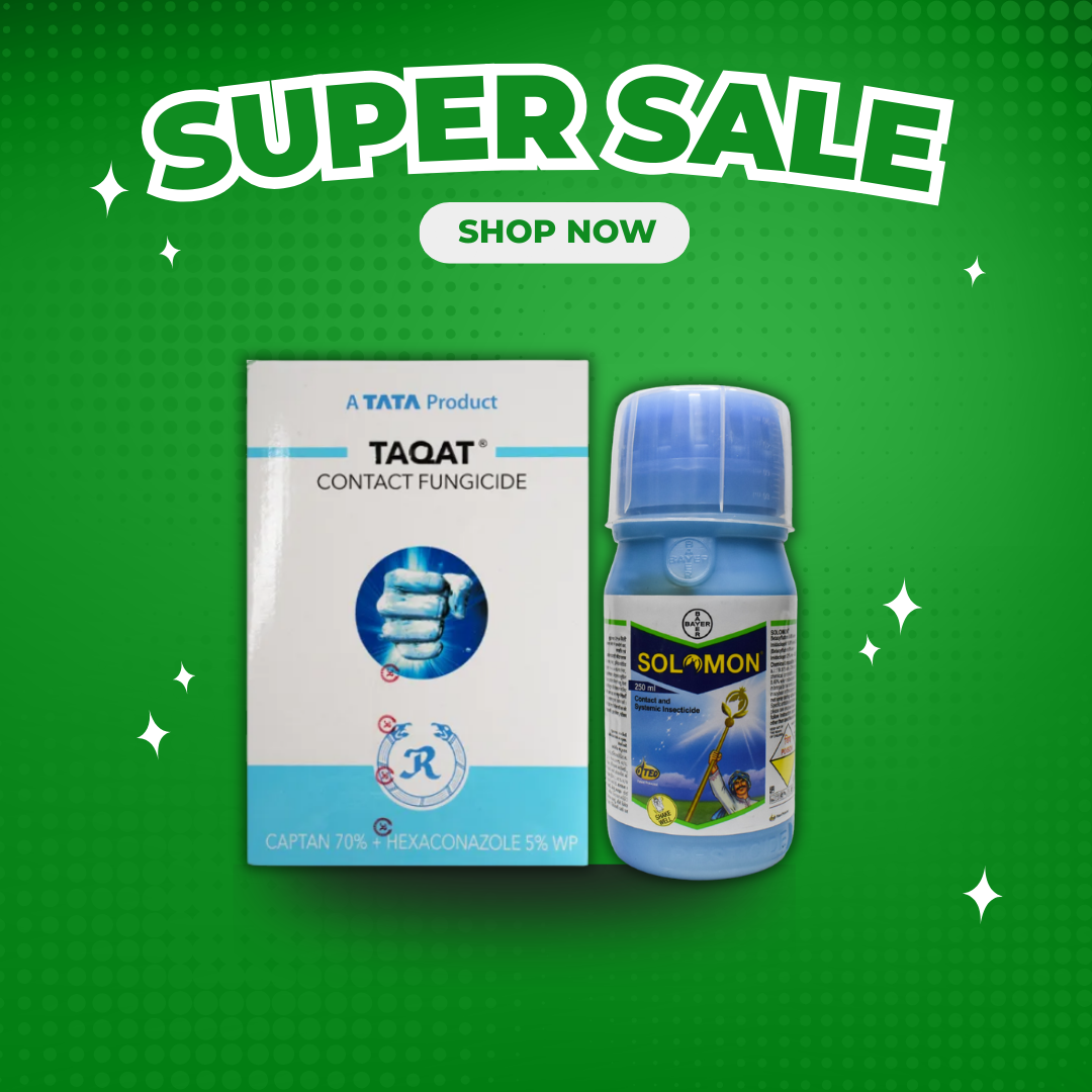 Taqat + Solomon Spray Kit