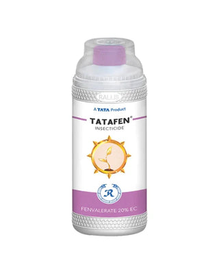 Tata fen